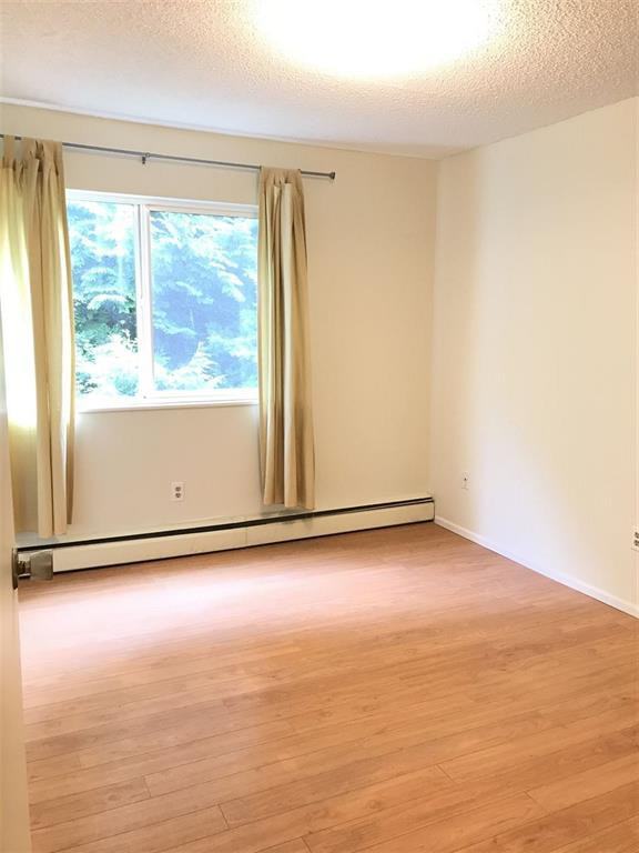 7240 Lindsay Road #204 - Photo 6 of 13