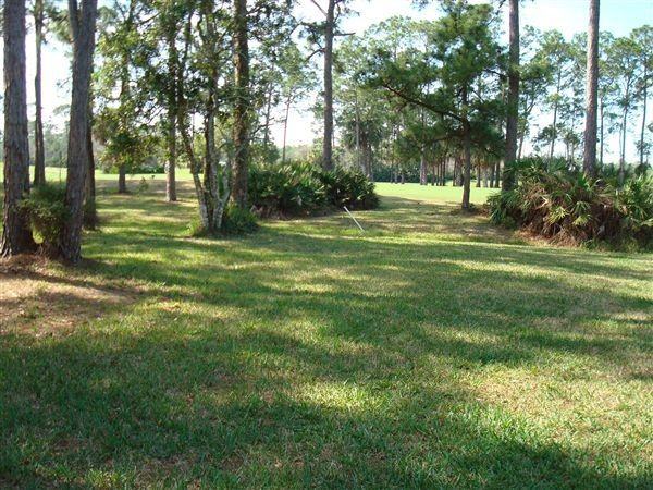 104 Sea Island Cir - Photo 2 of 13