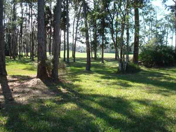 104 Sea Island Cir - Photo 3 of 13