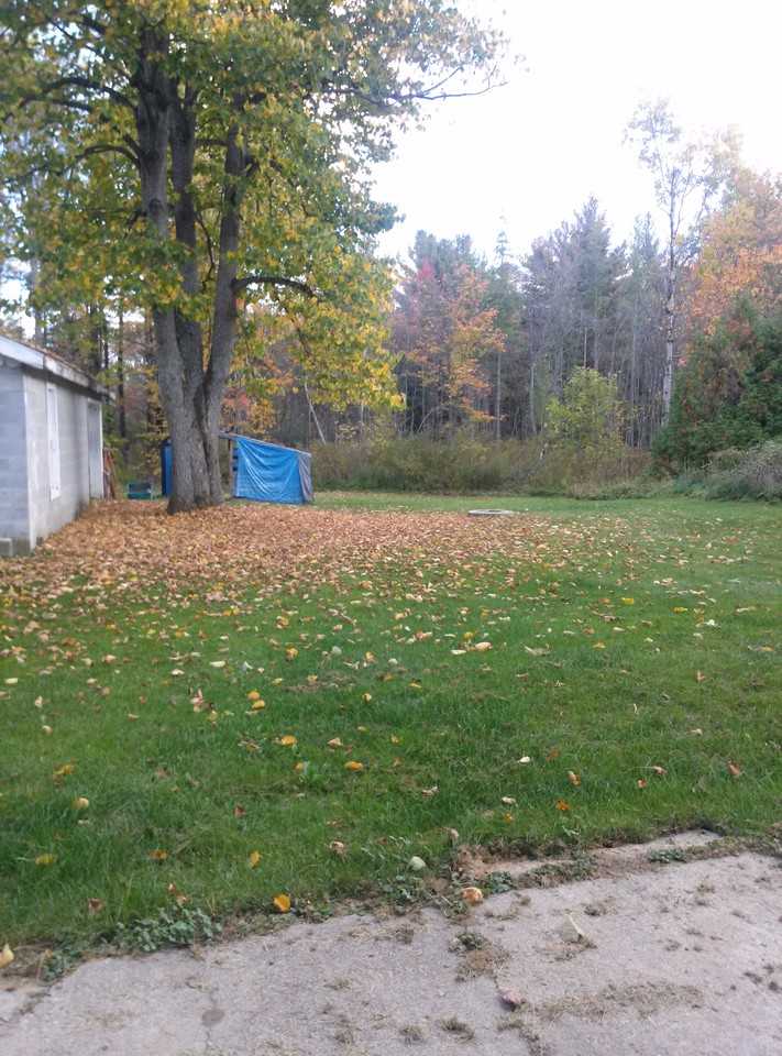 43842 County Rd 41 - Photo 3 of 14