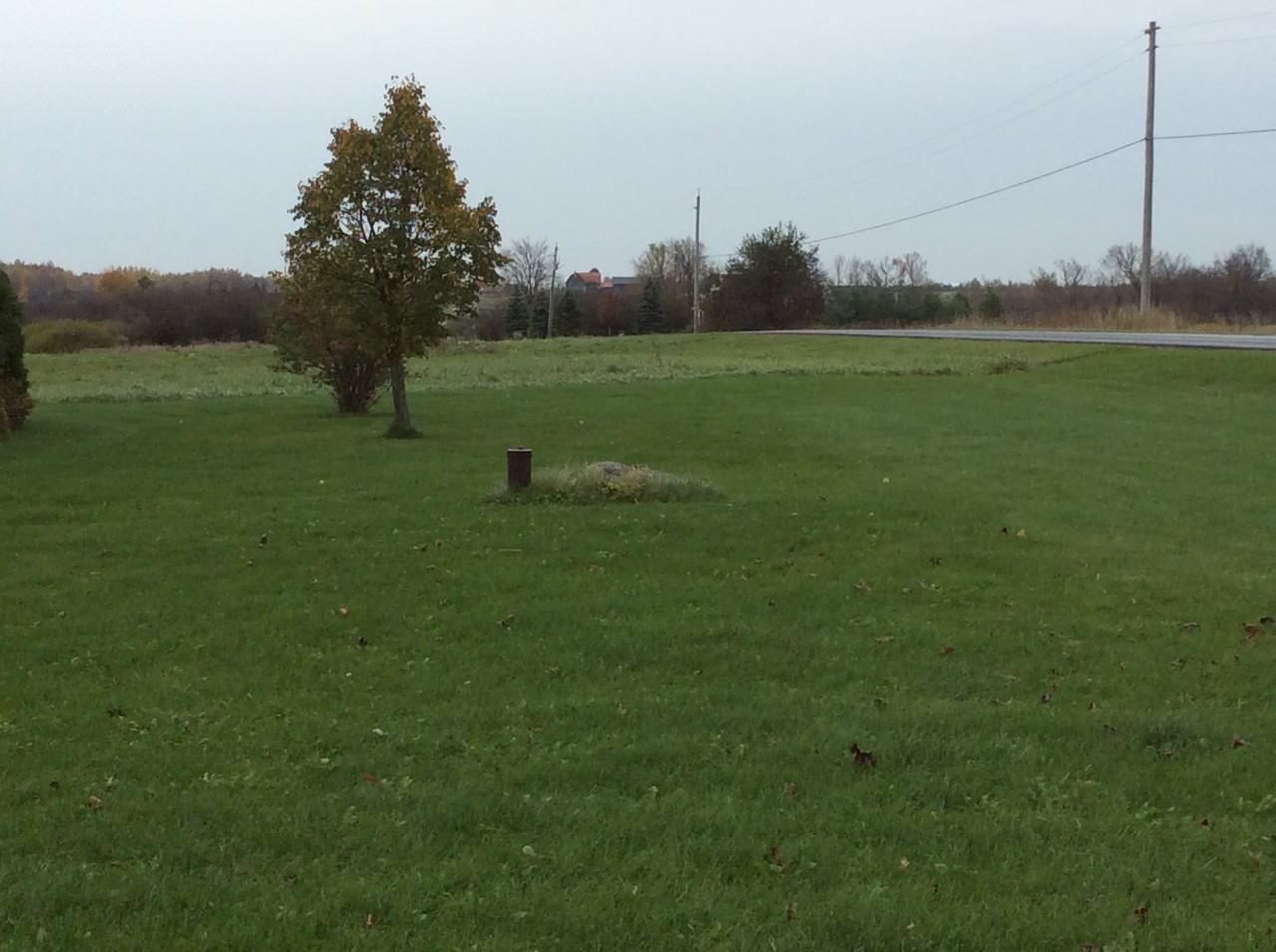 29619 Perch Lake Rd - Photo 3 of 10