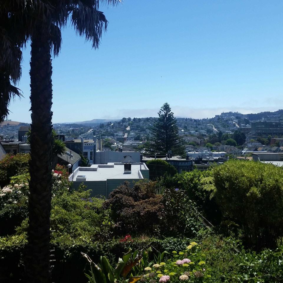 929 Fell St Apt 3 - Photo 2 of 15