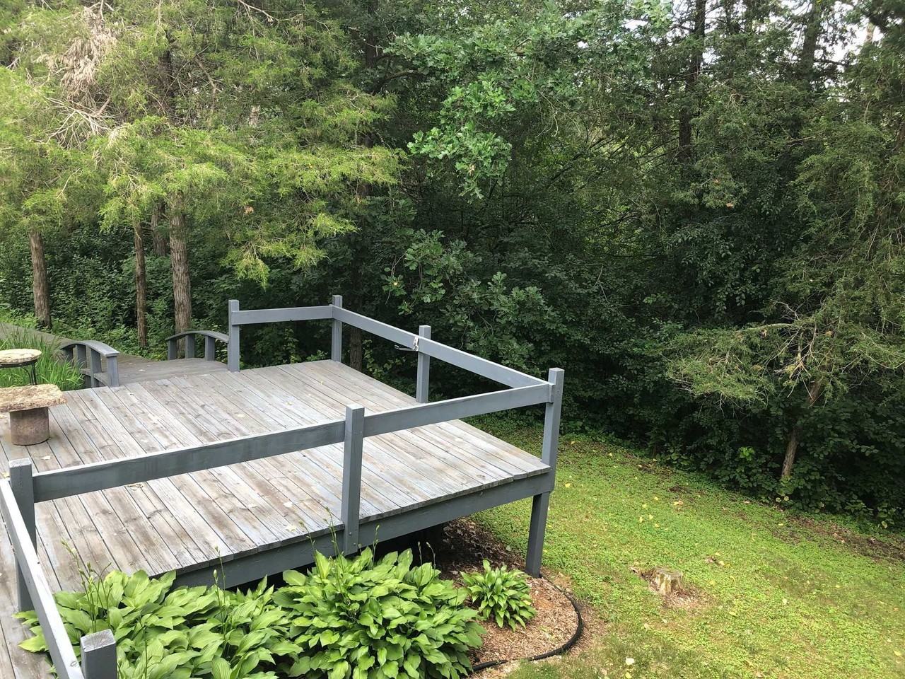 30066 Hardwood Way - Photo 3 of 49