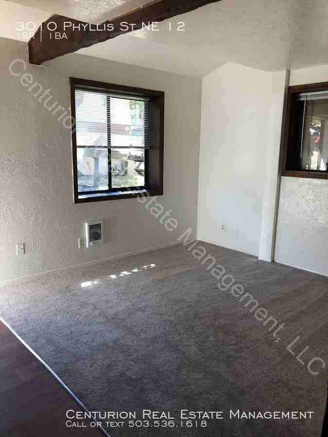 3010 Phyllis St Ne 12 - Photo 3 of 12