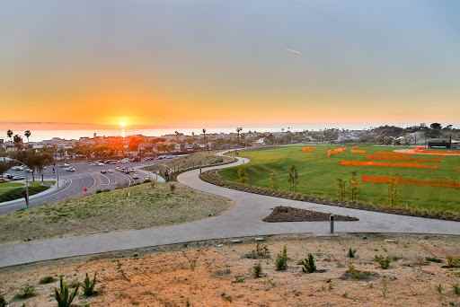 Newport Terrace - Photo 3 of 8