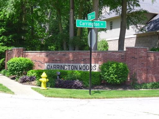 12613 Carrington Pl - Photo 2 of 31