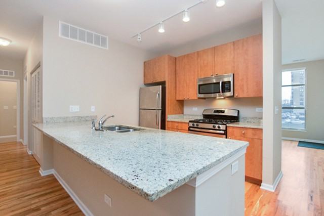 318 W 25th Pl #2E - Photo 3 of 15