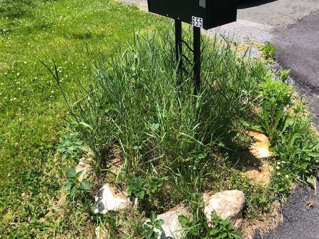 655 Reservoir Rd - Photo 3 of 36