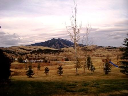 39 Blue Grouse Ct - Photo 2 of 28