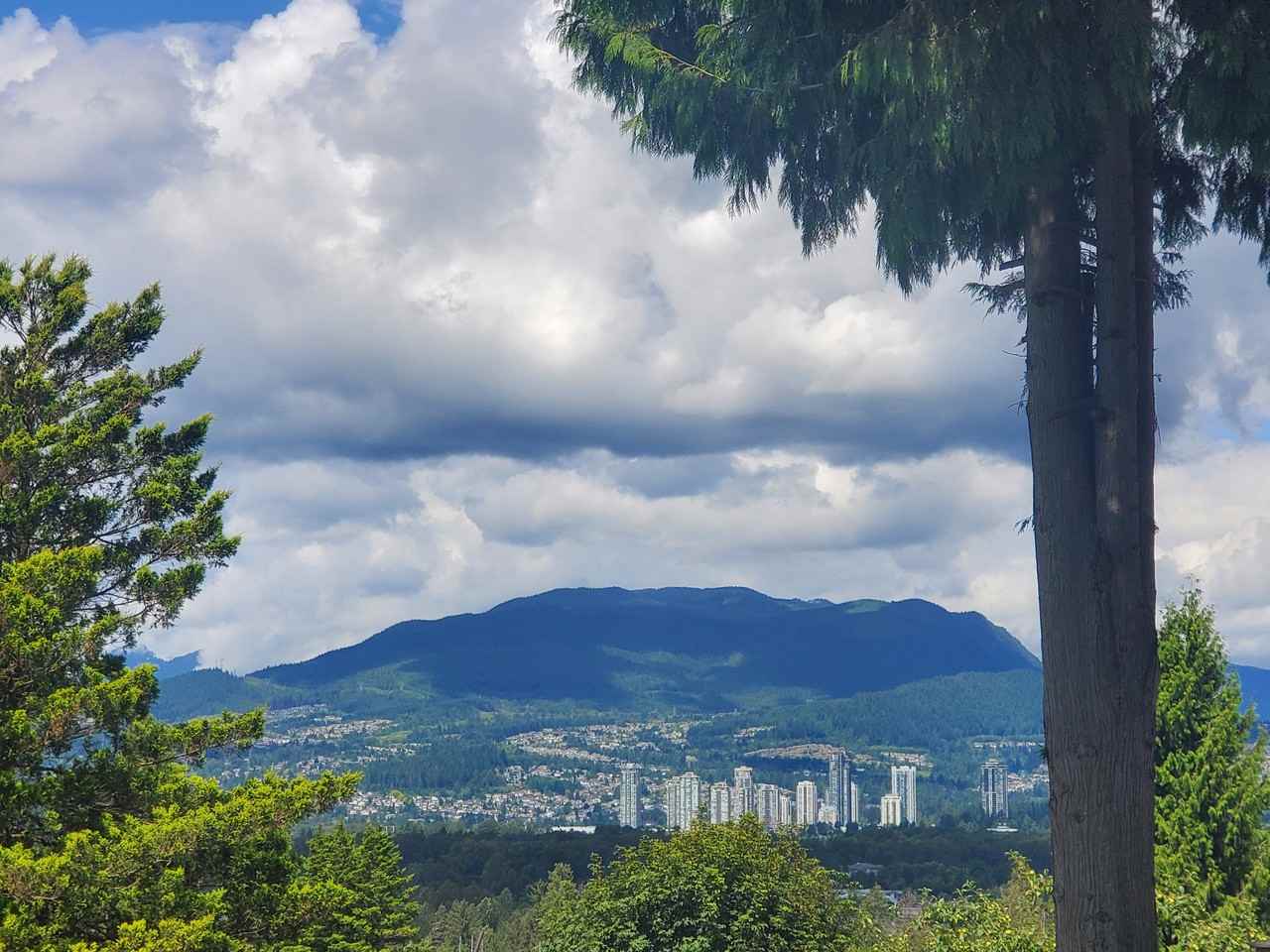 1613 Western Drive - Photo 3 of 10