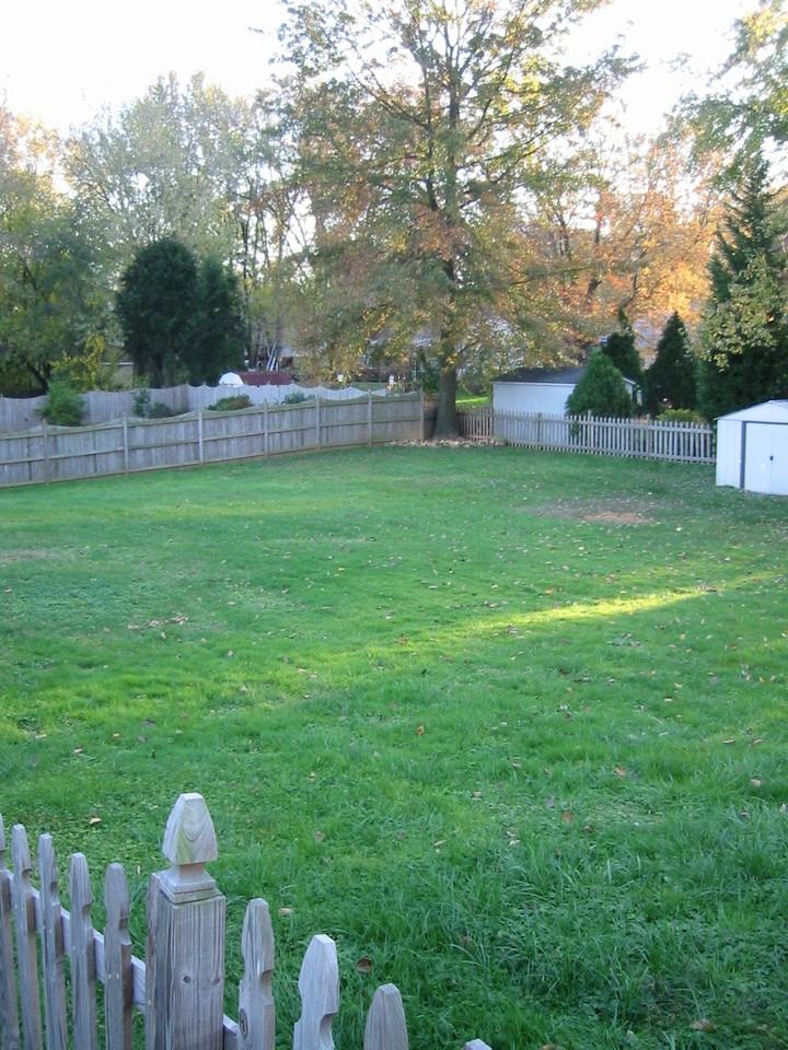1800 Pimmit Dr - Photo 3 of 19