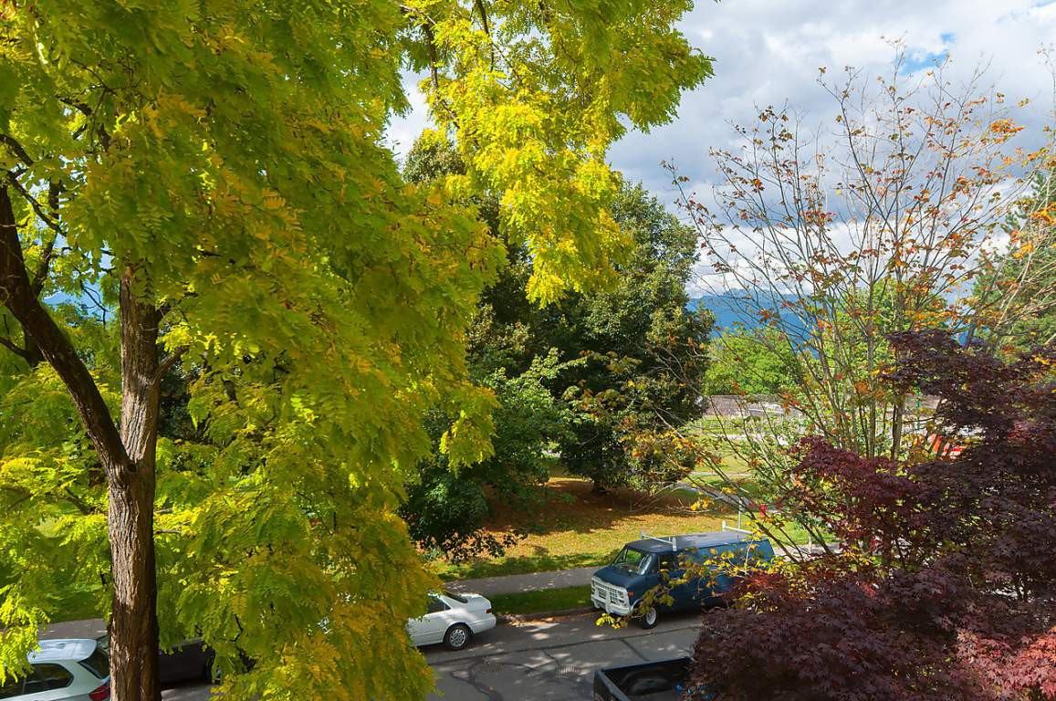 The Norton - Photo 2 of 17