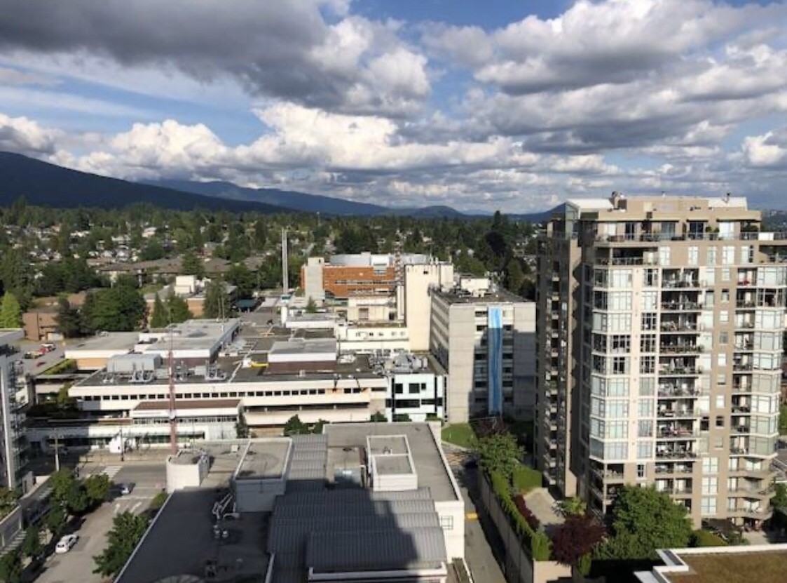 125 E 14th St #1902 - Photo 4 of 19