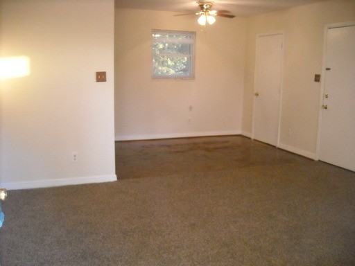 911 Lagoon Dr - Photo 2 of 7