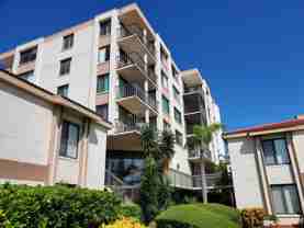 6268 Palma Del Mar Blvd S #304 - Photo 1 of 1