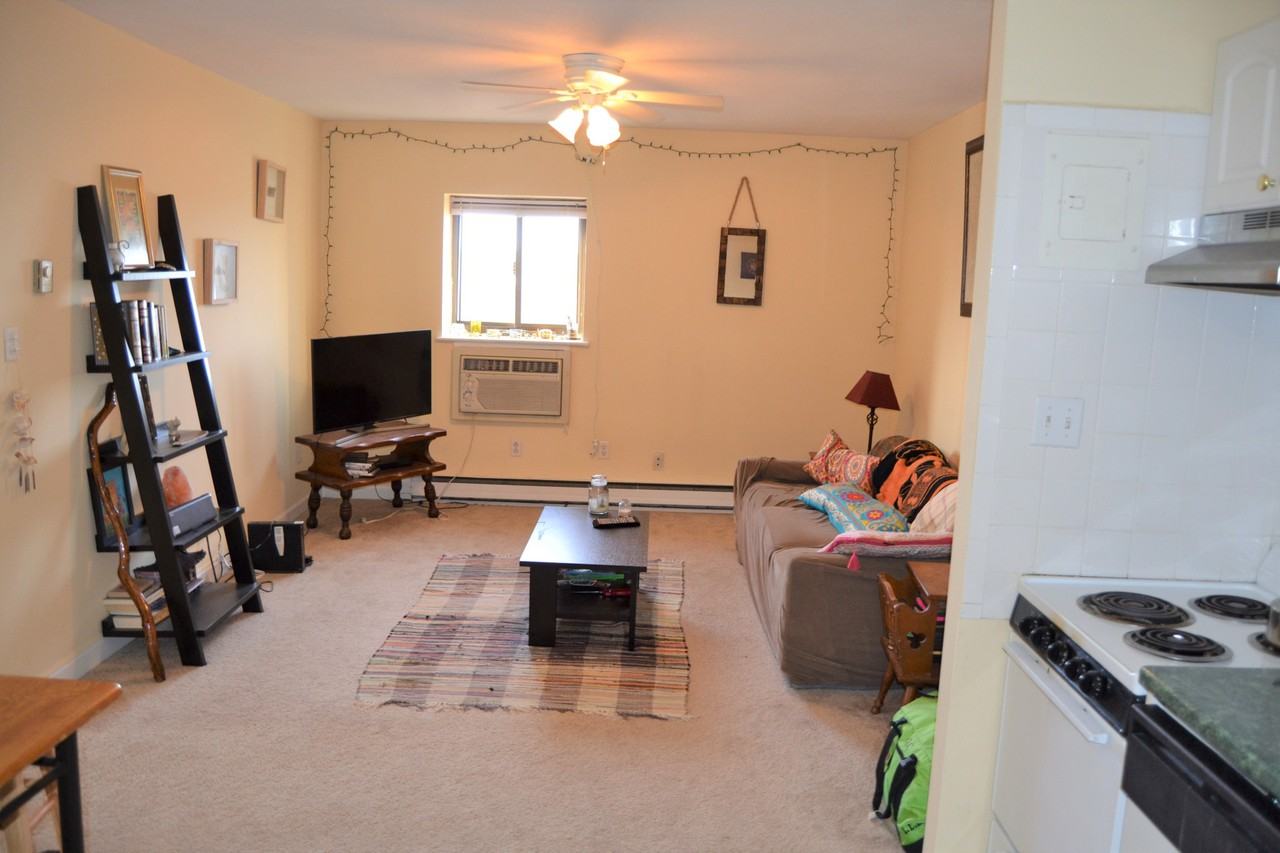 Two bedroom apartments for rent boston information