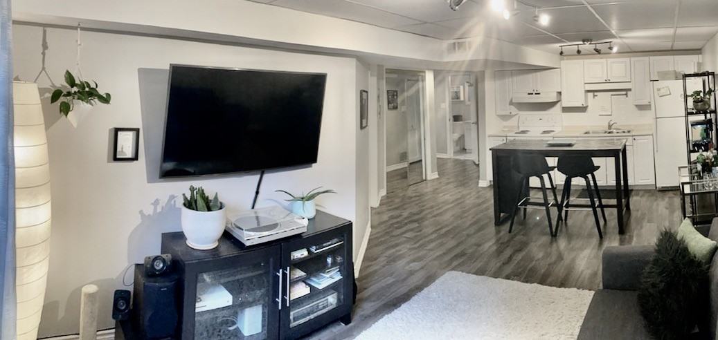 6 Cavern Court basement - Photo 3 of 8