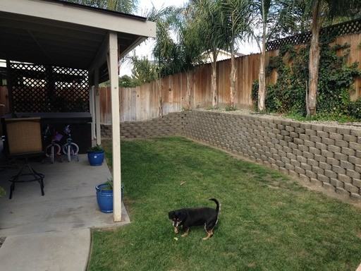9340 Bogart Ct - Photo 2 of 2