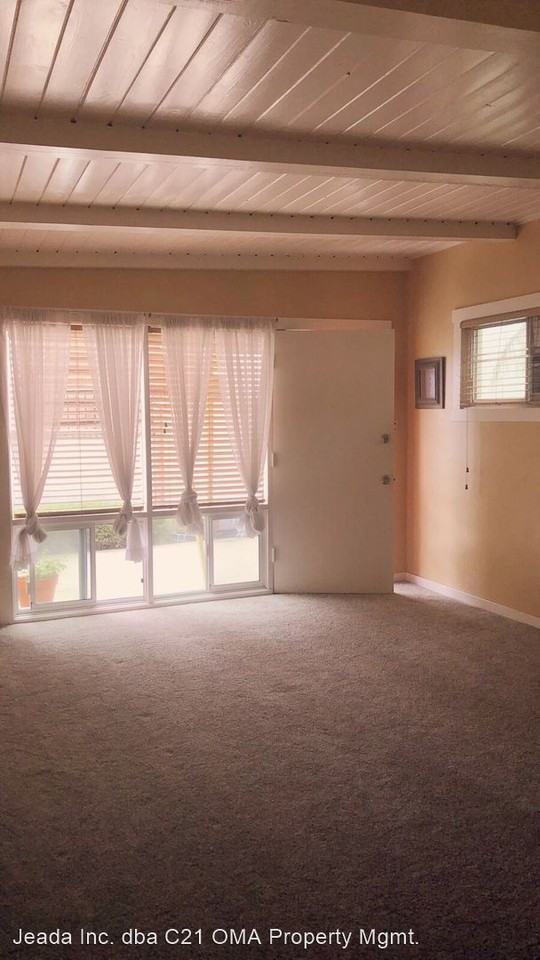 246 AVENIDA VICTORIA - Photo 3 of 9