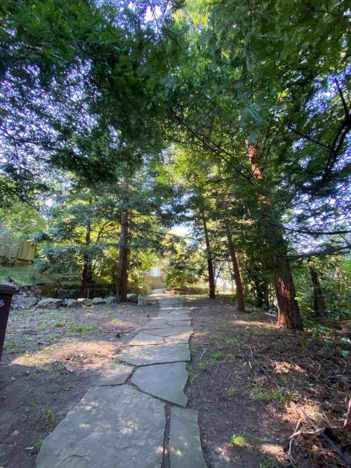 12025 Broadway Ter - Photo 3 of 6