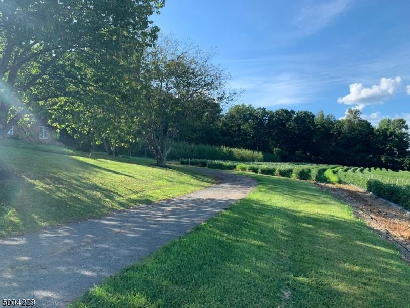 193 Parker Rd - Photo 3 of 21