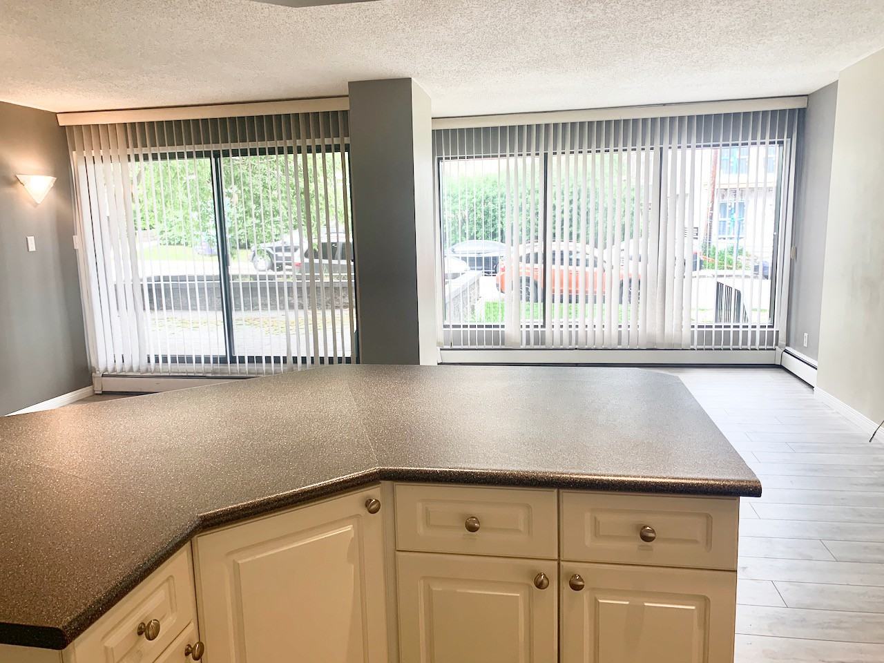 659 4 Ave Ne #101 - Photo 3 of 11