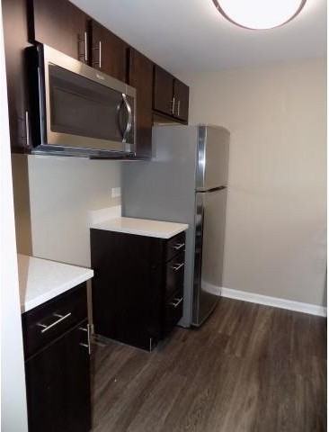 N Halsted St #1800H2B - Photo 3 of 11