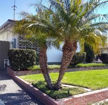 5931 Carnegie Street - Photo 1 of 1