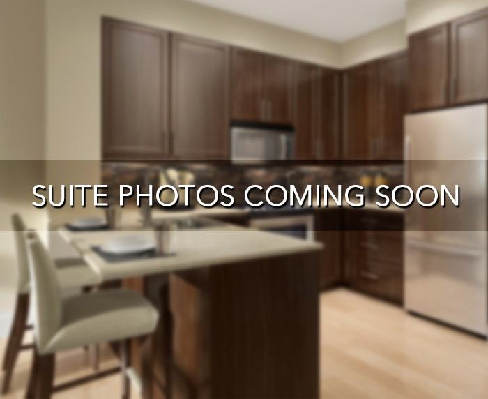 Scoop Condo #3876 - Photo 3 of 27