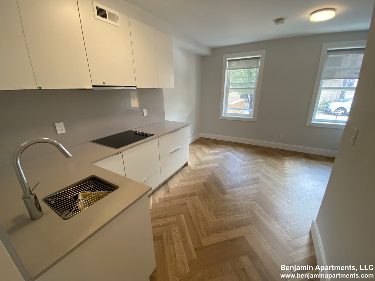 461 Massachusetts Avenue 2CF, Boston, MA 02118 Studio Apartment for