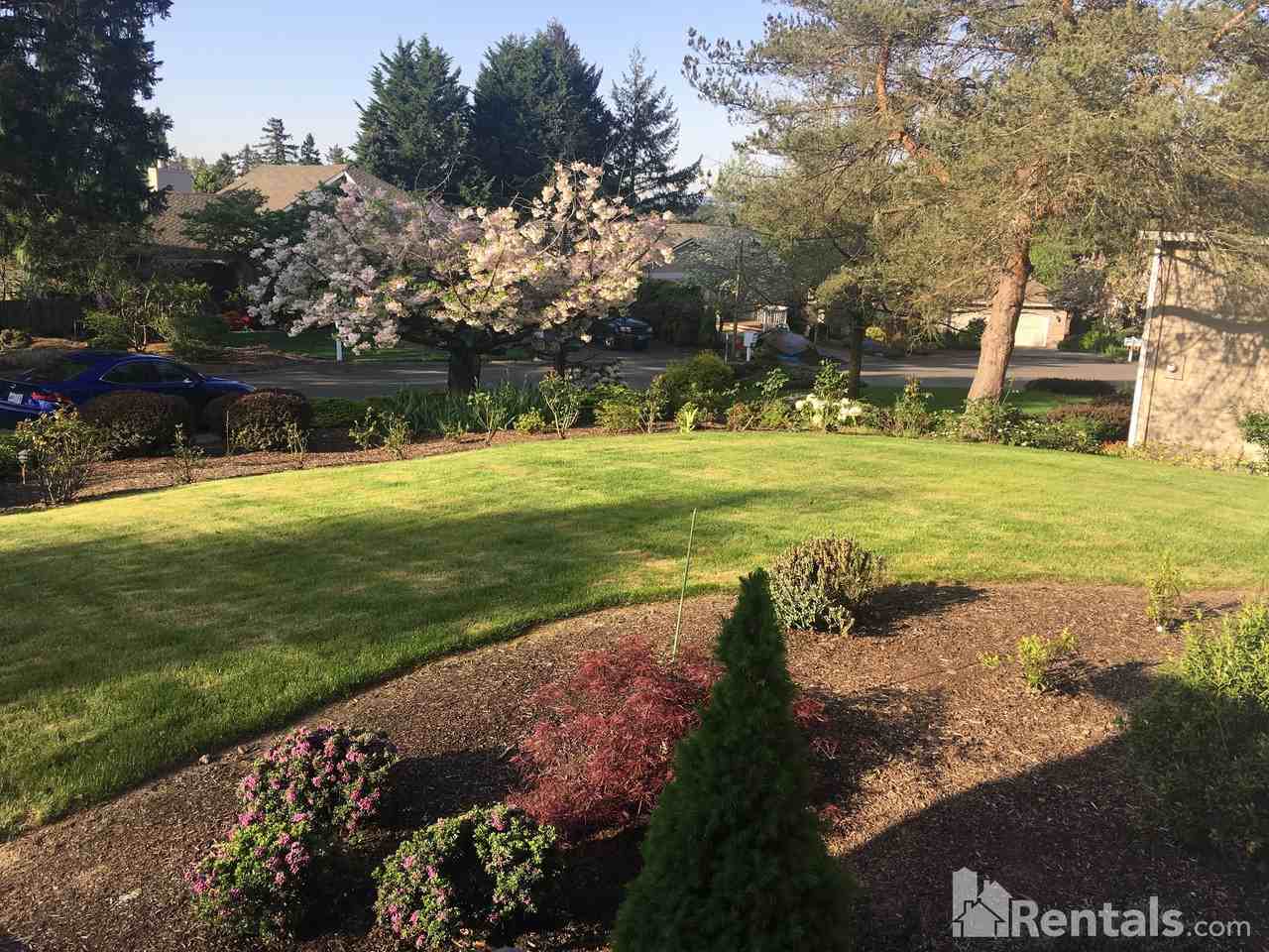 4315 Snowbrush Ct - Photo 2 of 15