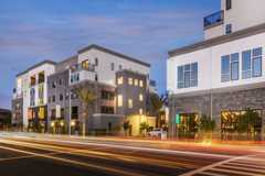 Rowan - Photo 1 of 1