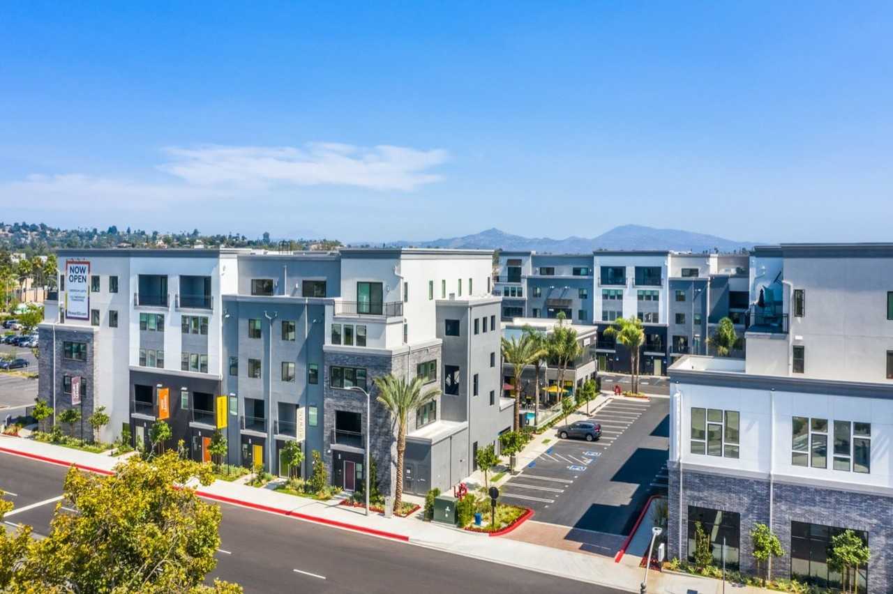 Rowan - Photo 4 of 41