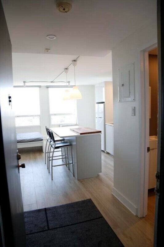 295 Boul SaintJoseph, Gatineau, QC J8Y 3Y5 Studio Apartment for 1,200