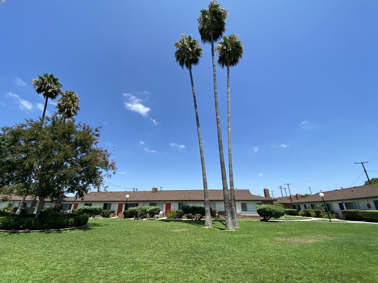 Orangewood Garden Apartments - Photo 3 of 10