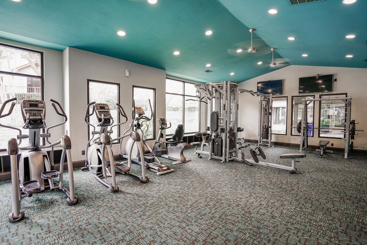 Beck at Wells Branch - Photo 3 of 19