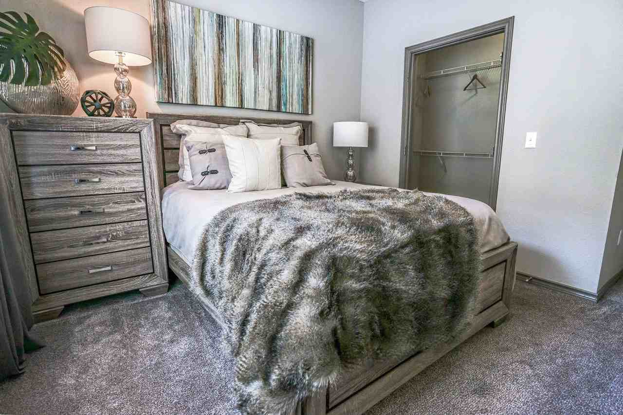 Beck at Wells Branch - Photo 6 of 19