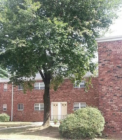 607C Kingston Terrace Drive - Photo 3 of 11