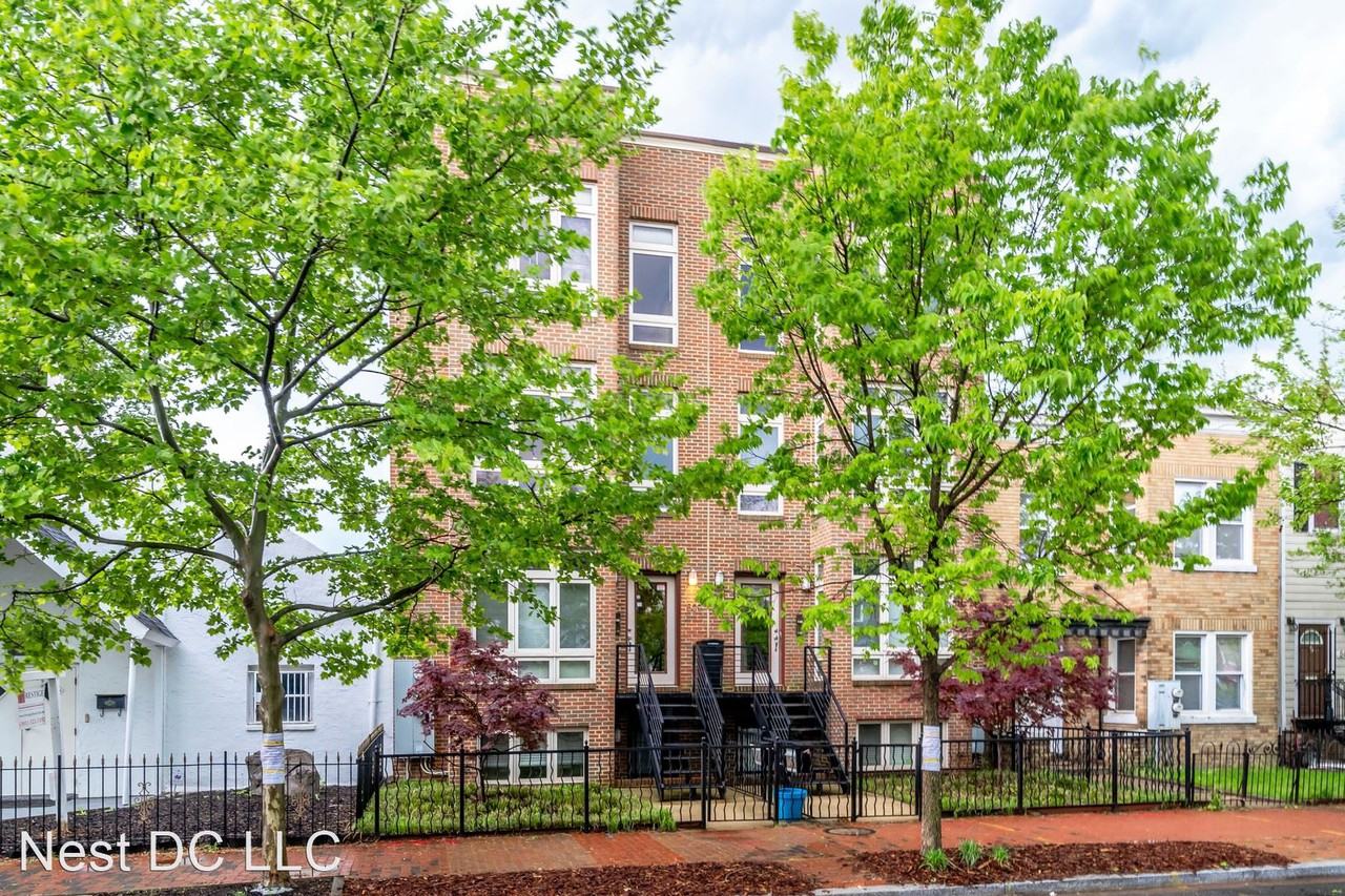 509 M St Ne #4 - Photo 2 of 50