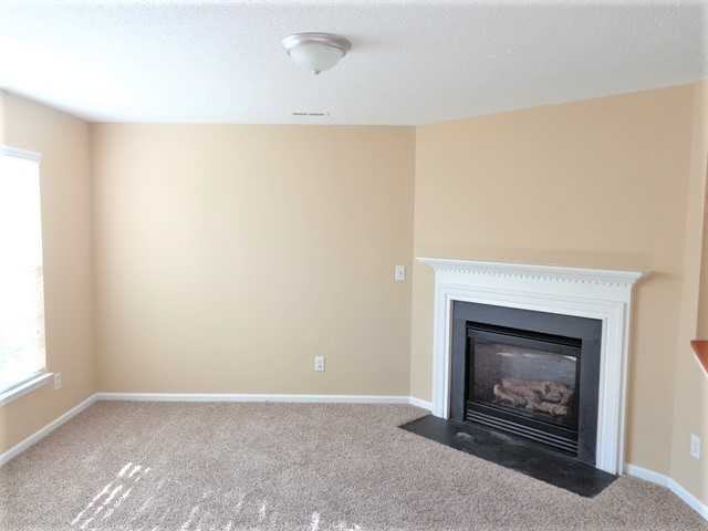 14334 O Casey Ln - Photo 3 of 11