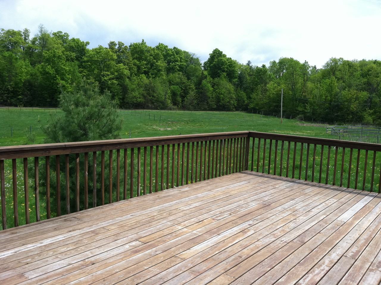 29036 Rogers Rd - Photo 3 of 23