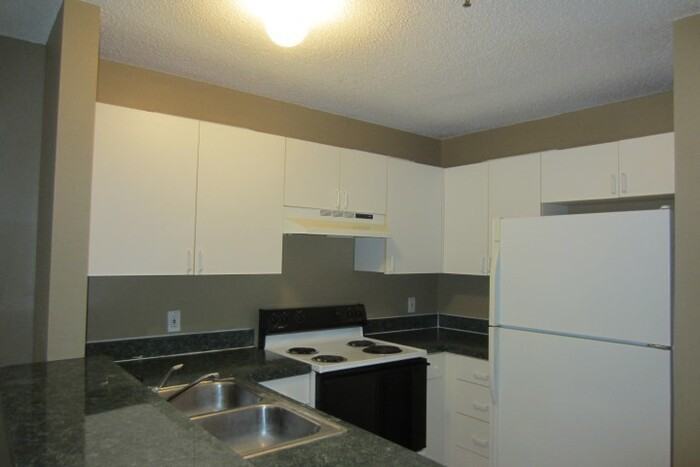 1657 Windsor Oak Ct - Photo 3 of 13