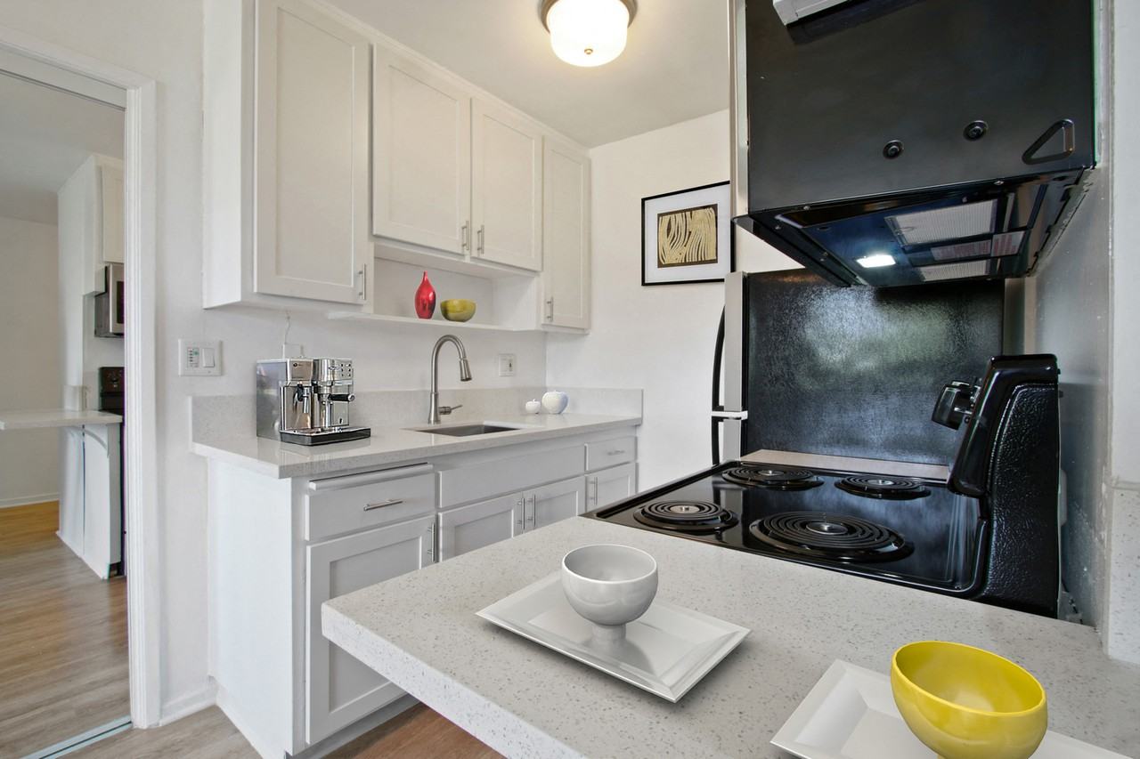 Veteran - Photo 2 of 83