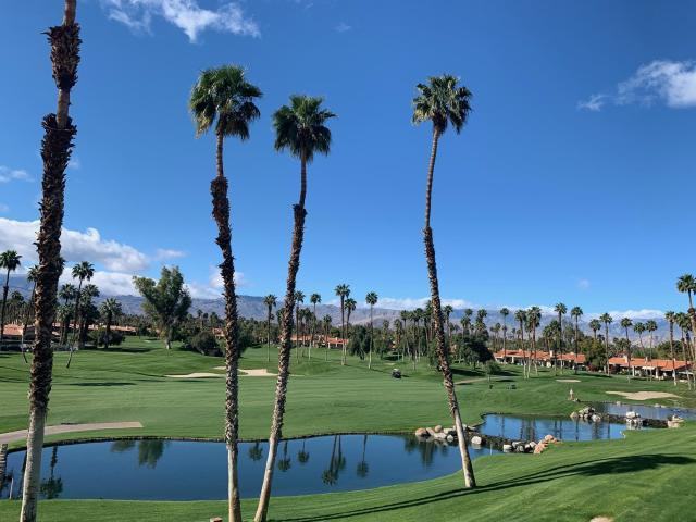 38043 Crocus Ln - Photo 2 of 21