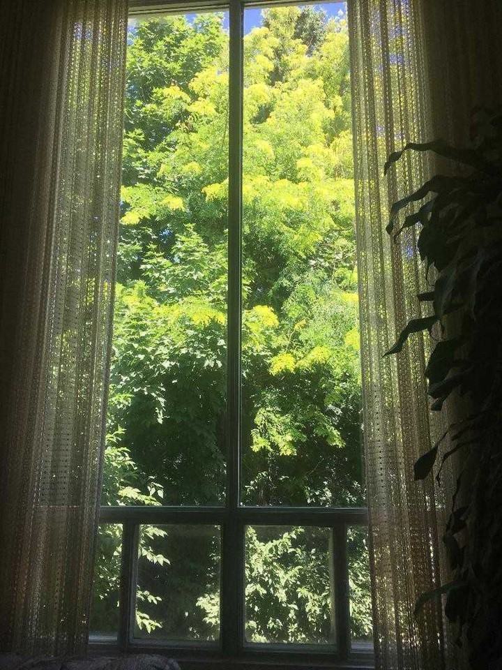 29 Snowshoe Crescent - Photo 3 of 4