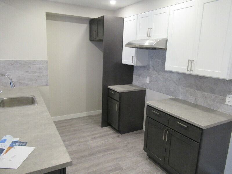 5231 Rue Saint-Urbain - Photo 2 of 10