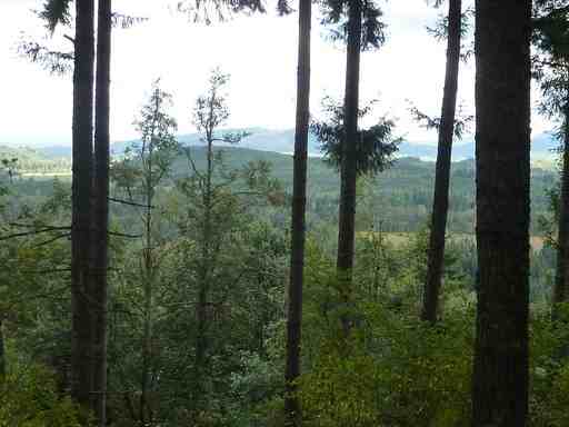 49707 146th Ave E - Photo 2 of 14