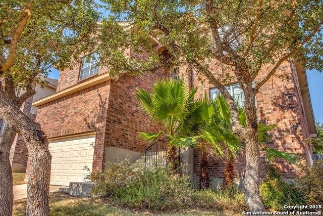 20418 Cliff Park - Photo 3 of 26