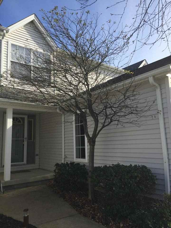 9416 Hickory Ridge Dr - Photo 2 of 38
