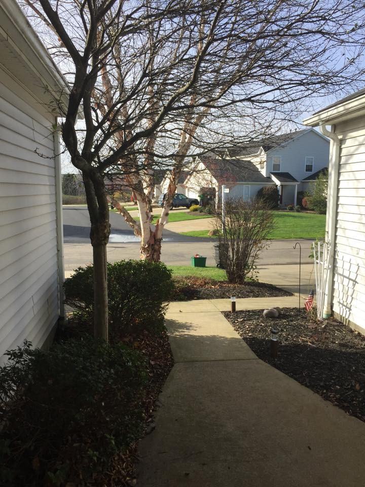 9416 Hickory Ridge Dr - Photo 3 of 38